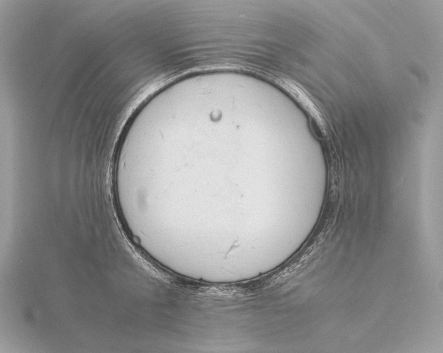 X0000115840805200912041707