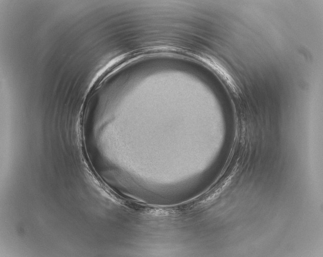 X0000115840806200912041707