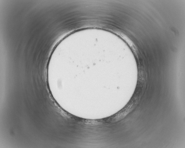 X0000115840807200912041707