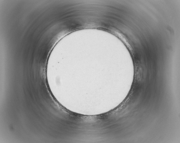 X0000115840810200912041707