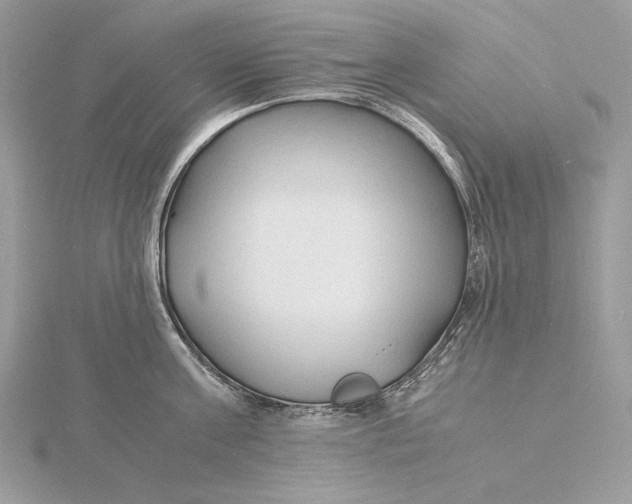 X0000115840811200912041707