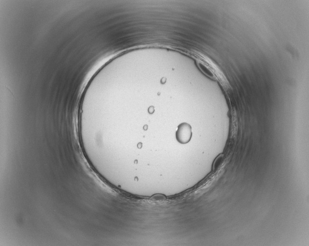 X0000115840812200912041707