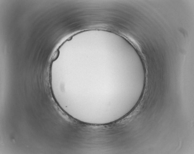 X0000115840816200912041707