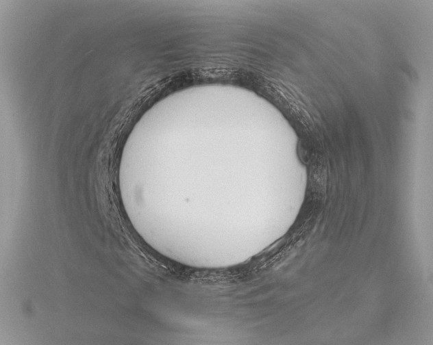 X0000115840817200912041706