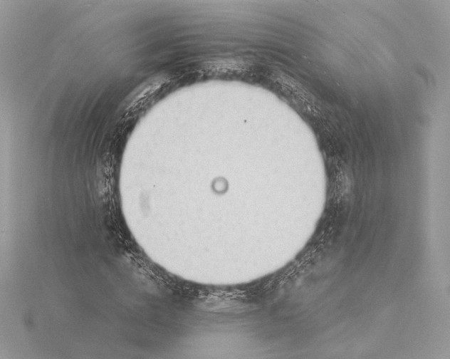 X0000115840824200912041706