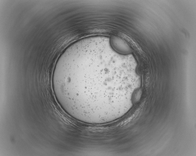 X0000115840825200912041706