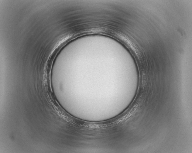 X0000115840827200912041706