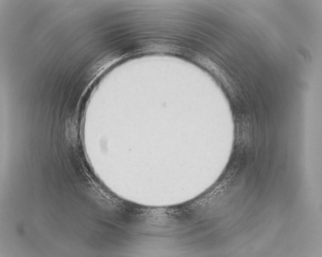 X0000115840828200912041706