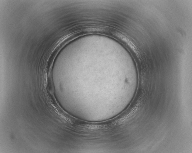 X0000115840829200912041706