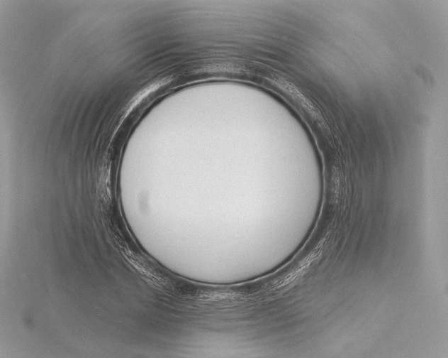 X0000115840830200912041706