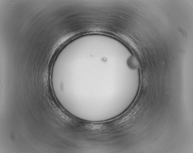 X0000115840831200912041706