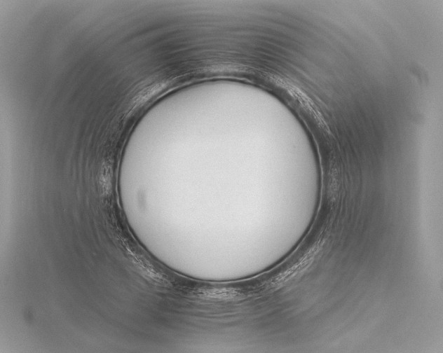 X0000115840833200912041706