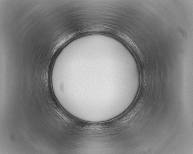 X0000115840834200912041706