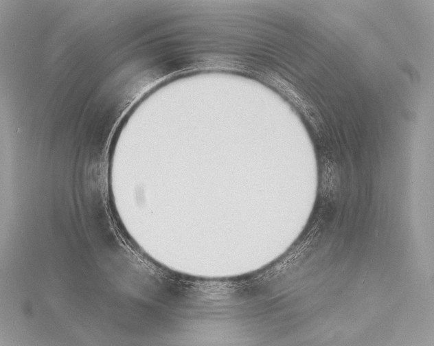 X0000115840836200912041706