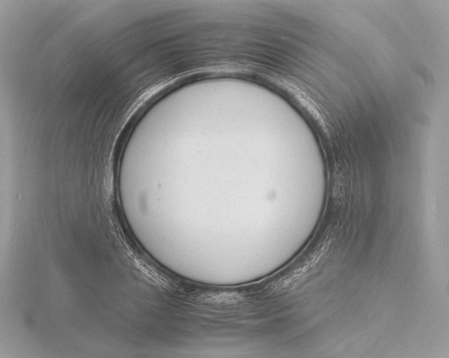 X0000115840837200912041706