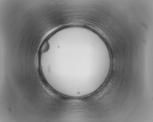 X0000115840838200912041706