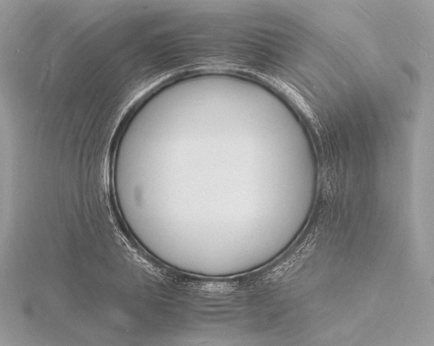 X0000115840839200912041706