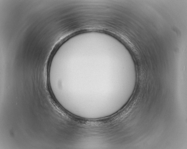 X0000115840840200912041706