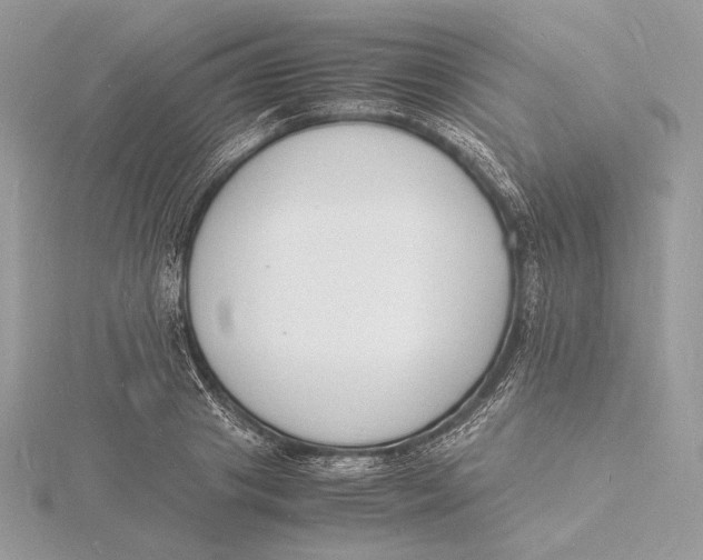 X0000115840841200912041706