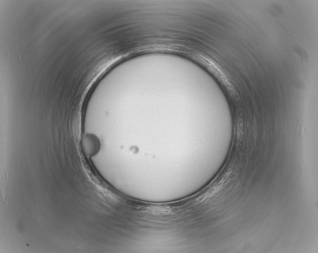 X0000115840844200912041706