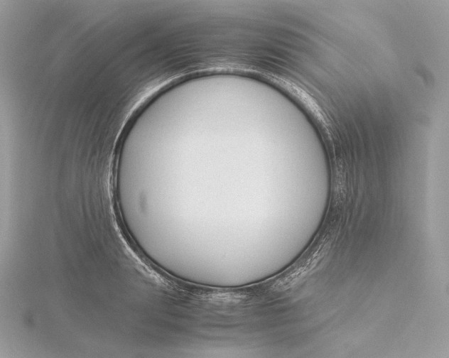 X0000115840847200912041707