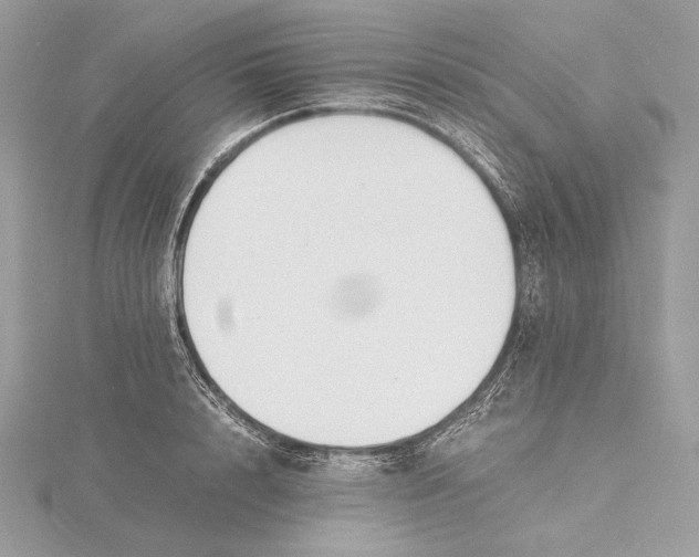 X0000115840848200912041707