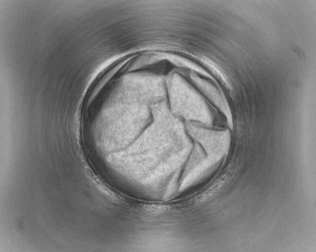 X0000115840854200912041707