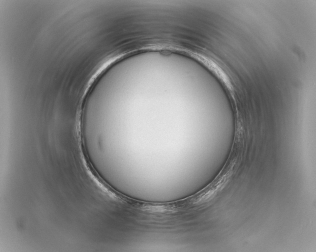 X0000115840855200912041707