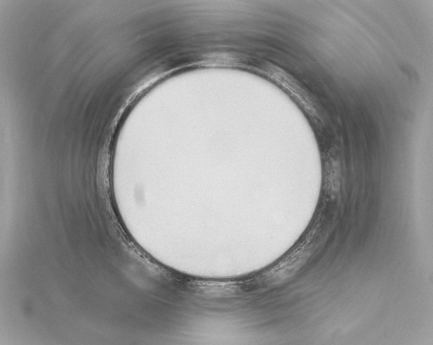 X0000115840856200912041707