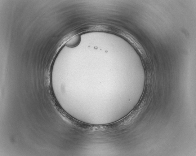 X0000115840858200912041707