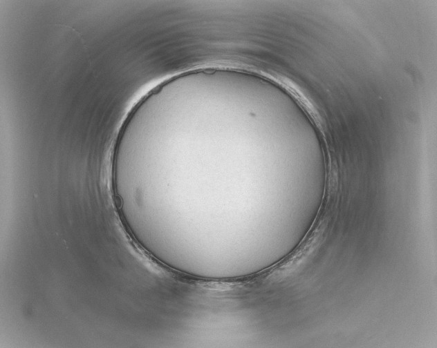 X0000115840862200912041707