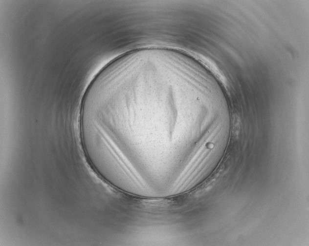 X0000115840863200912041707