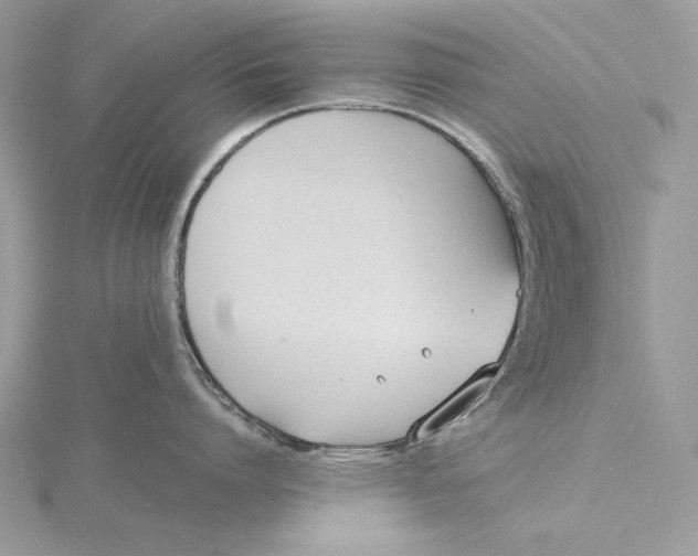 X0000115840864200912041707