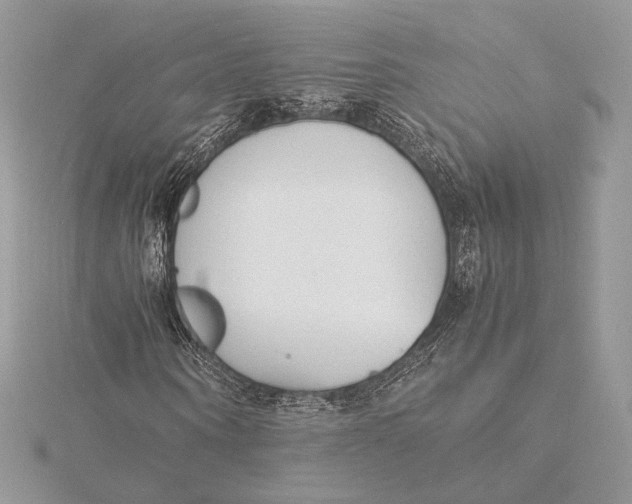 X0000115840866200912041706