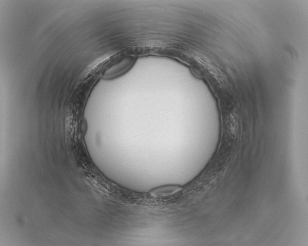 X0000115840872200912041706