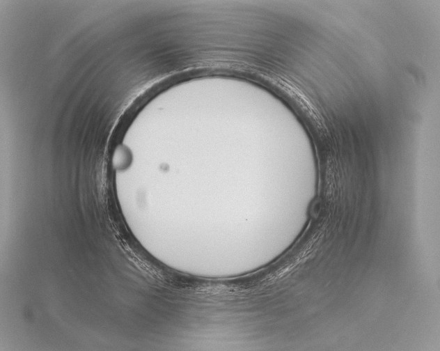 X0000115840880200912041706