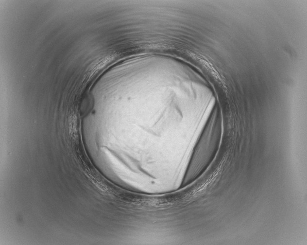 X0000115840881200912041706