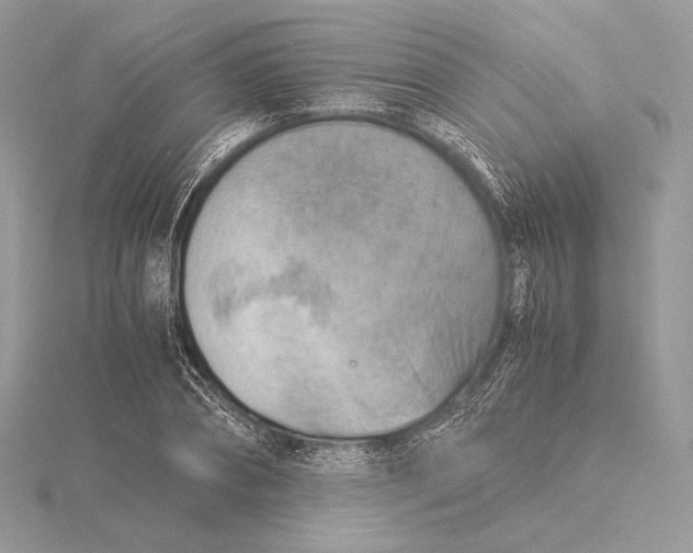 X0000115840882200912041706