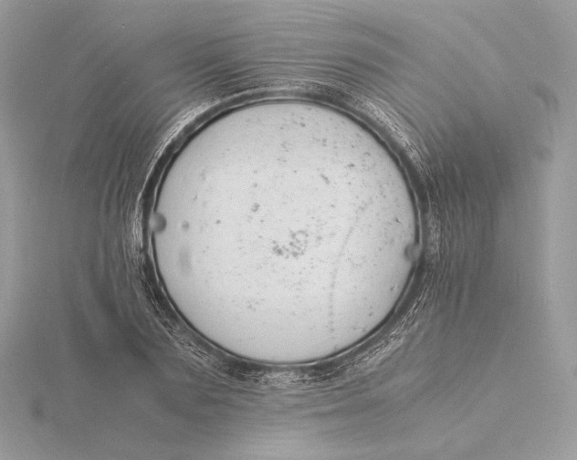 X0000115840883200912041706