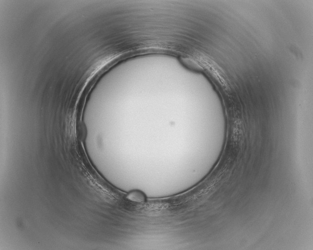 X0000115840884200912041706