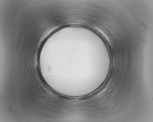 X0000115840885200912041706