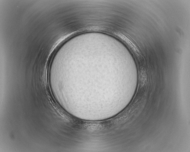 X0000115840886200912041706