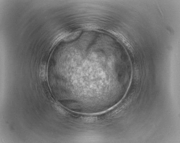 X0000115840889200912041706