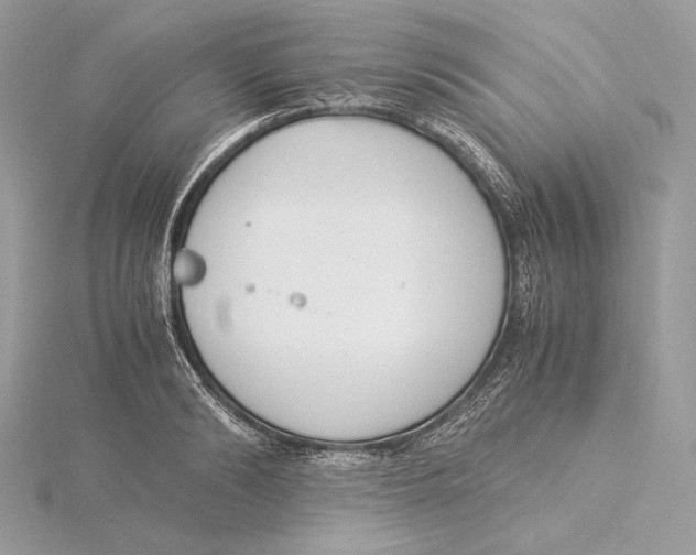 X0000115840894200912041706