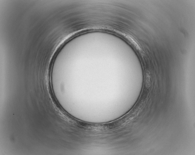 X0000115840895200912041706