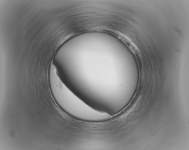 X0000115840897200912041706