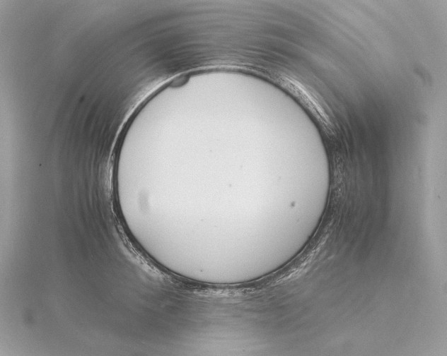 X0000115840900200912041706