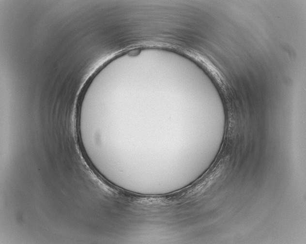 X0000115840902200912041706