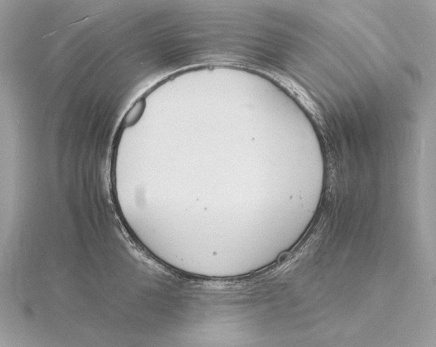 X0000115840904200912041706