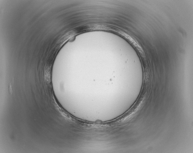 X0000115840905200912041706